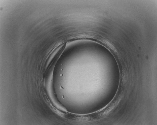 X0000063470793200601271628