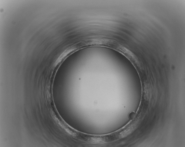 X0000063470794200601271628