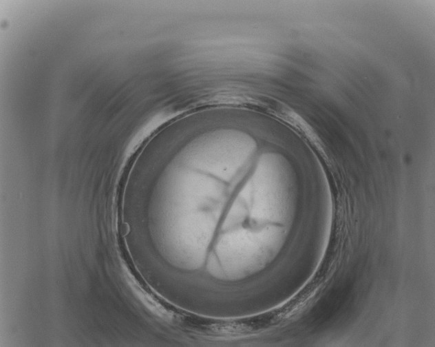 X0000063470795200601271628