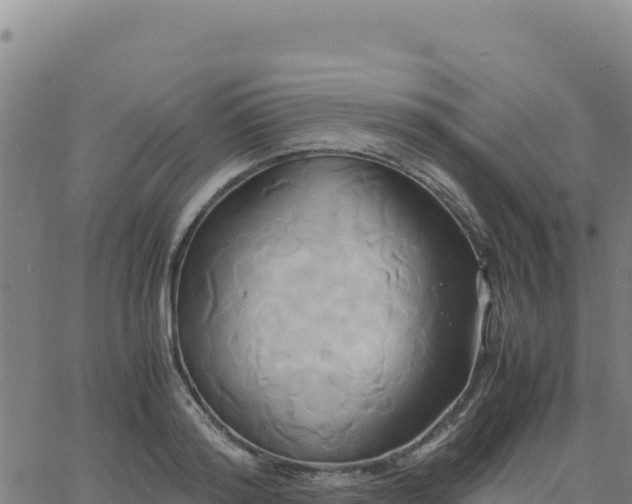 X0000063470796200601271628