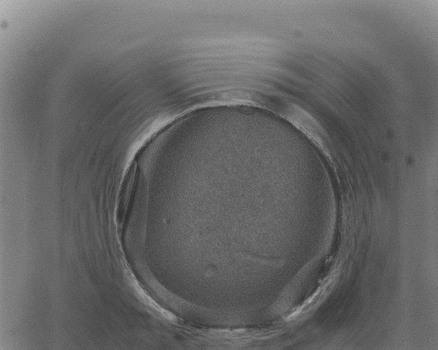 X0000063470797200601271628