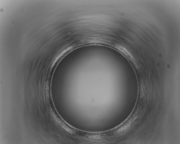 X0000063470798200601271628