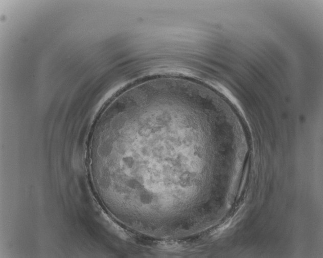 X0000063470799200601271628