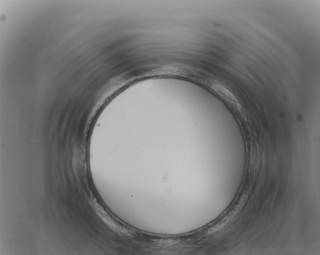 X0000063470800200601271628