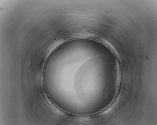 X0000063470802200601271628