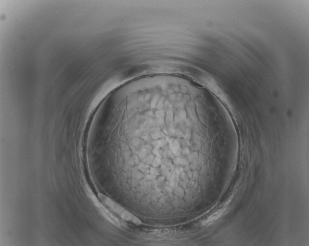 X0000063470803200601271628