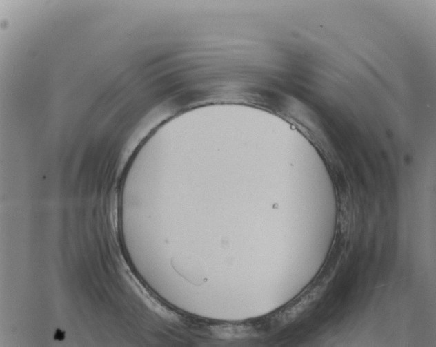 X0000063470804200601271628