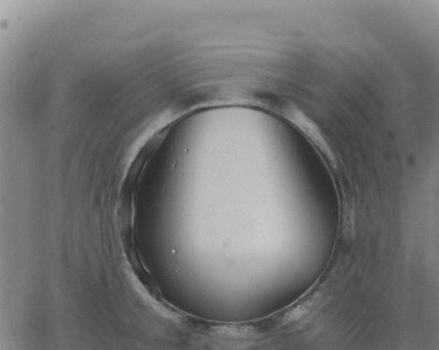 X0000063470805200601271628