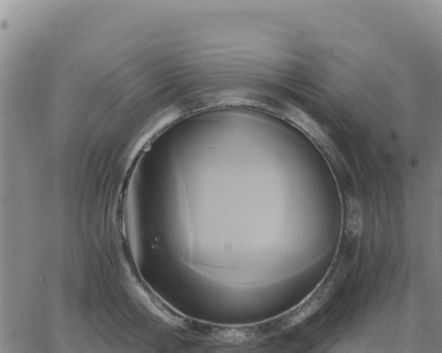 X0000063470806200601271628