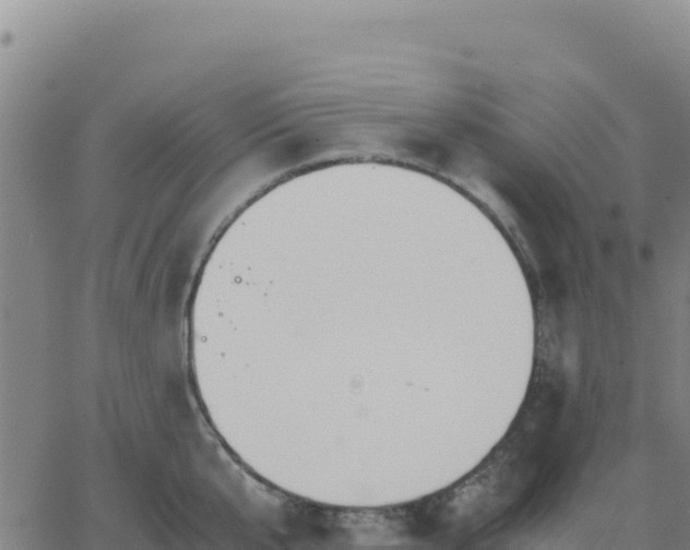 X0000063470807200601271628