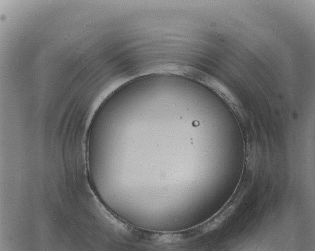 X0000063470808200601271628