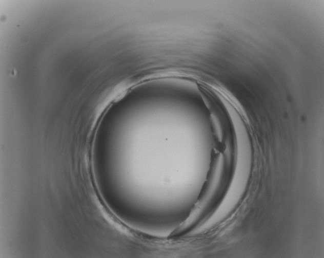 X0000063470813200601271628