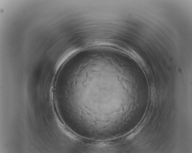 X0000063470814200601271628