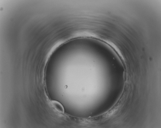 X0000063470815200601271628