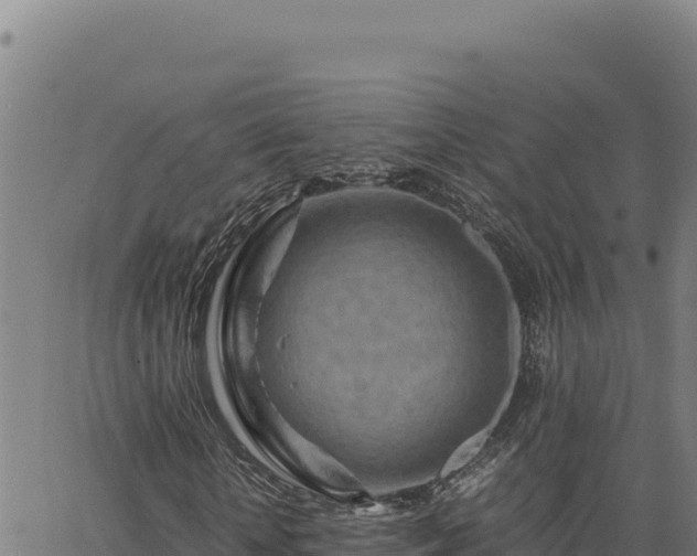 X0000063470818200601271627