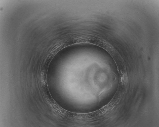 X0000063470819200601271627