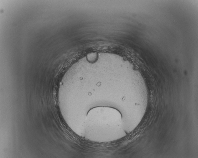 X0000063470820200601271627