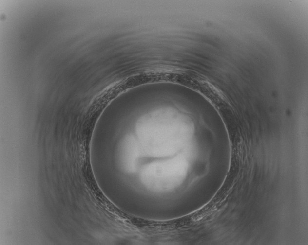 X0000063470821200601271627