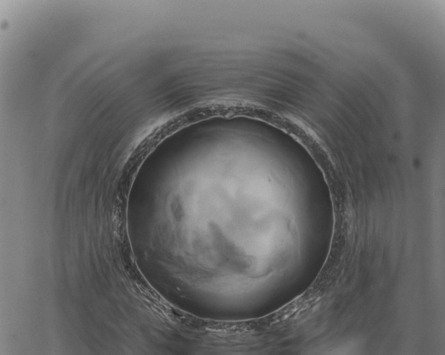 X0000063470823200601271627