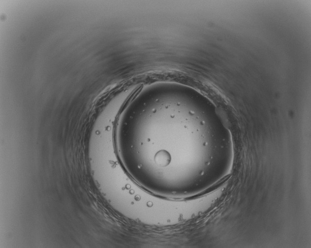 X0000063470824200601271627