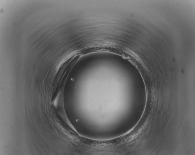 X0000063470826200601271627