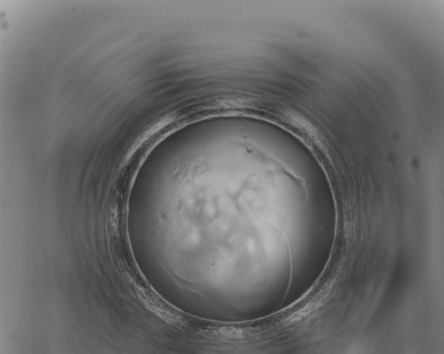 X0000063470827200601271627