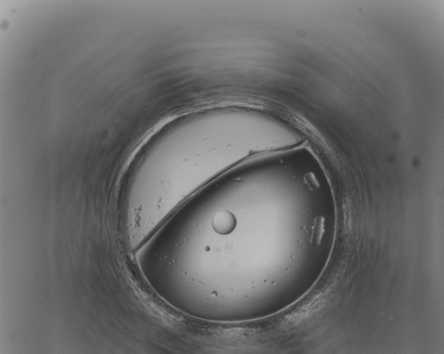 X0000063470828200601271627