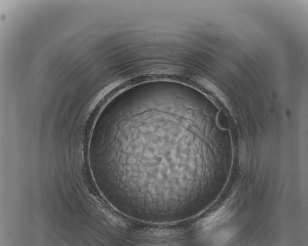 X0000063470829200601271627