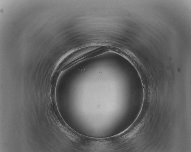 X0000063470830200601271627