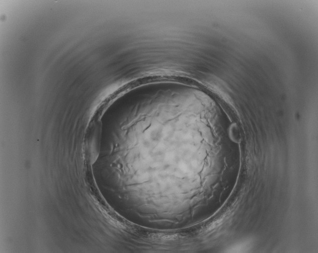 X0000063470831200601271627