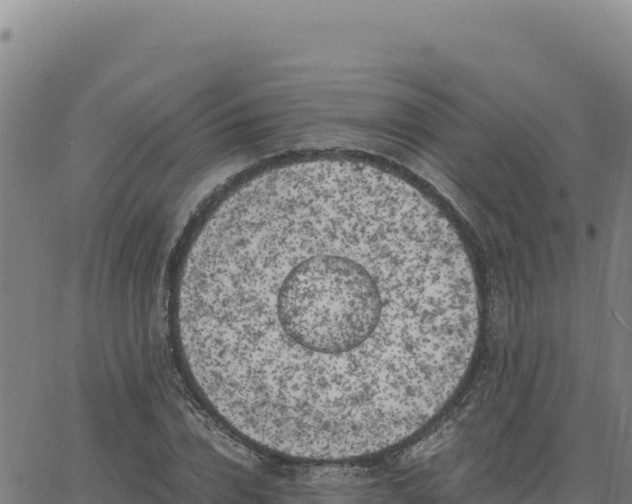 X0000063470832200601271627