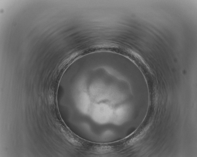 X0000063470833200601271627