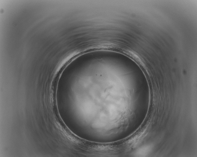 X0000063470835200601271627