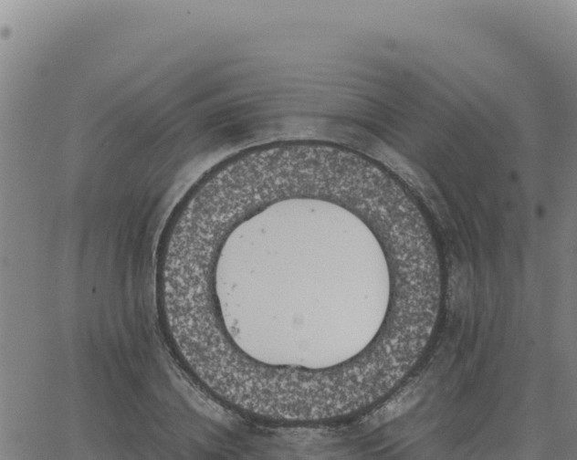 X0000063470836200601271627