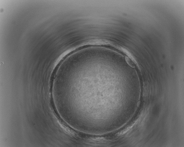 X0000063470837200601271627