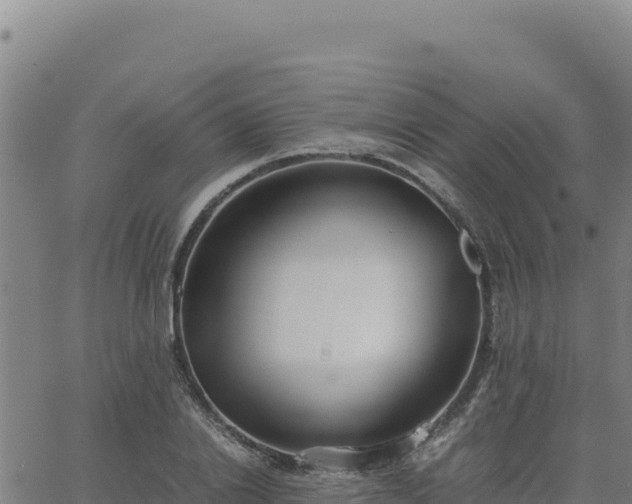 X0000063470838200601271627