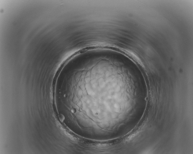 X0000063470839200601271627