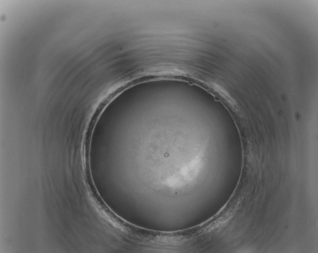 X0000063470840200601271627