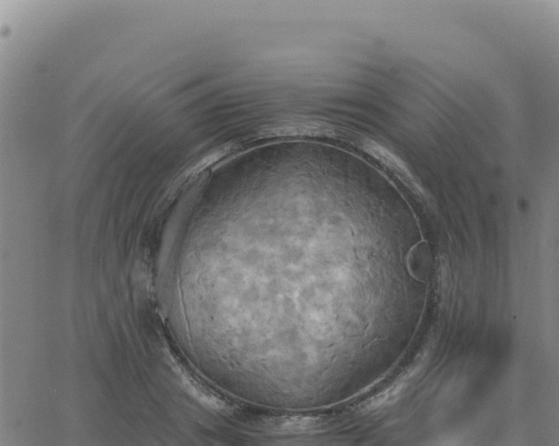 X0000063470841200601271627