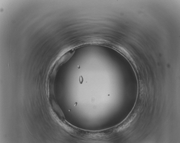 X0000063470843200601271627