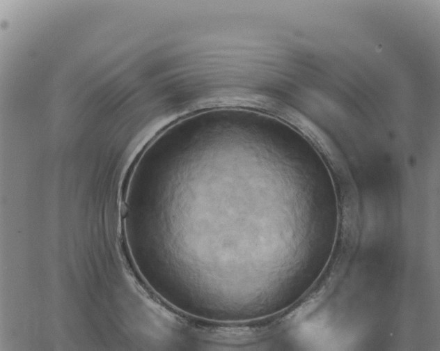 X0000063470844200601271627