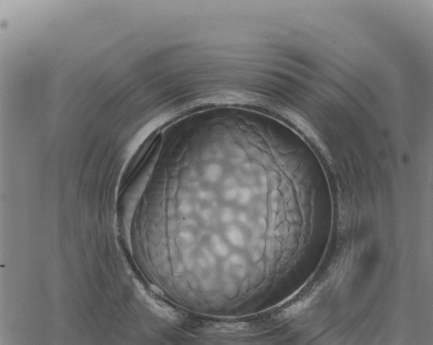 X0000063470845200601271627