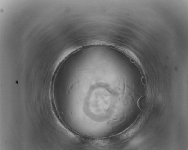 X0000063470847200601271627