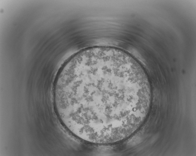 X0000063470848200601271627