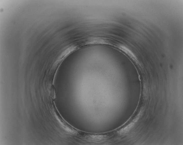 X0000063470849200601271628