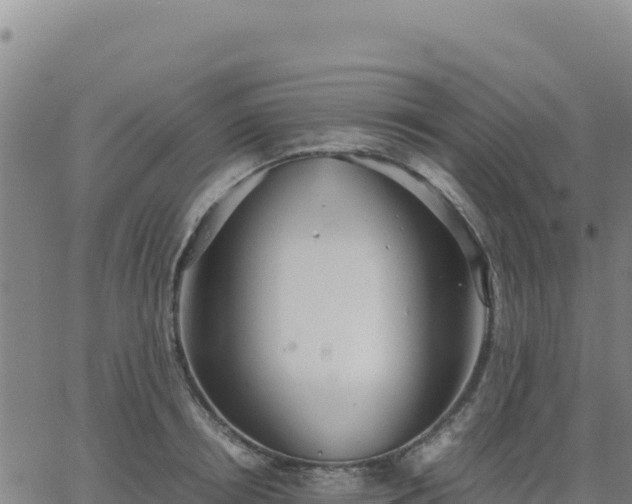 X0000063470850200601271628