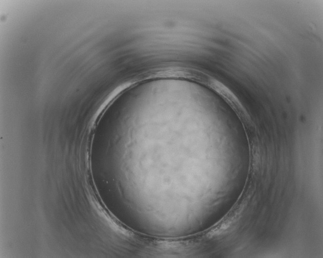 X0000063470852200601271628