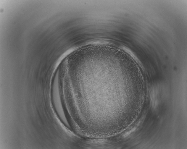 X0000063470853200601271628