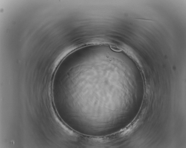 X0000063470855200601271628