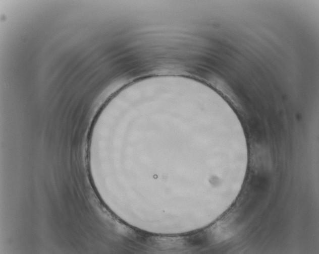 X0000063470856200601271628